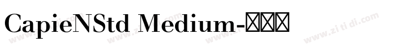 CapieNStd Medium字体转换